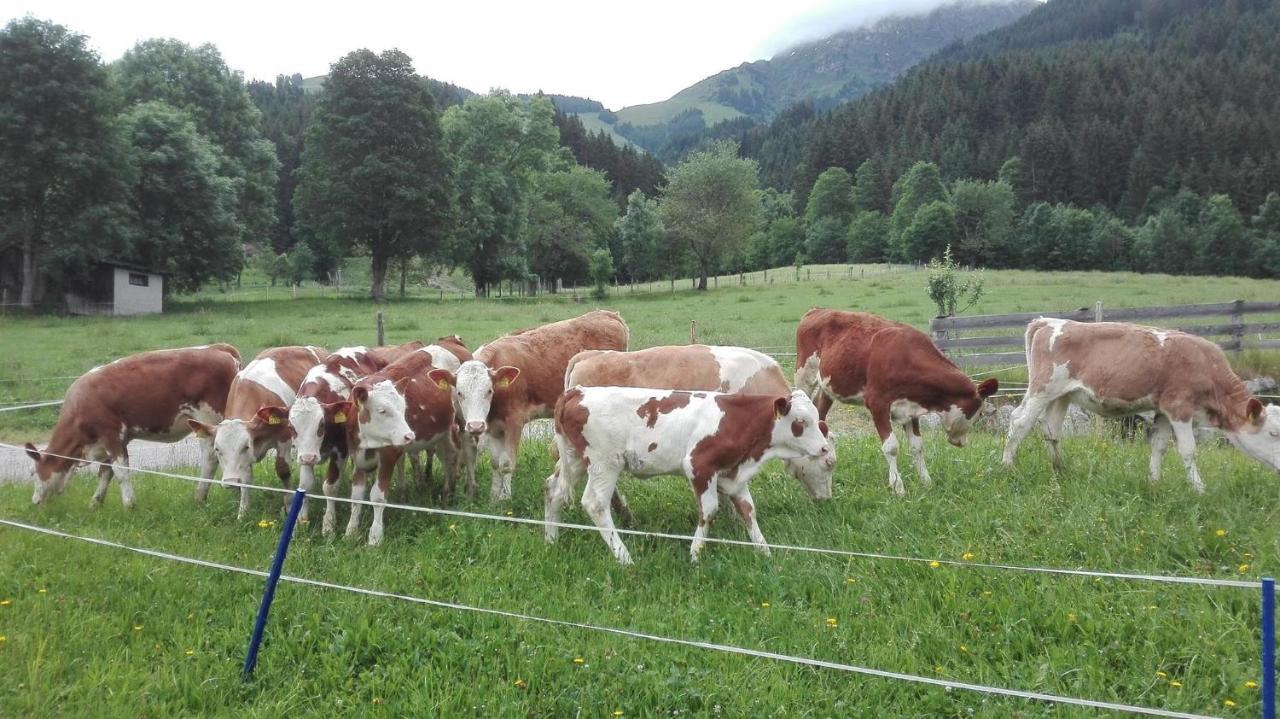 Schiessling Hof Villa Oberndorf in Tirol Buitenkant foto